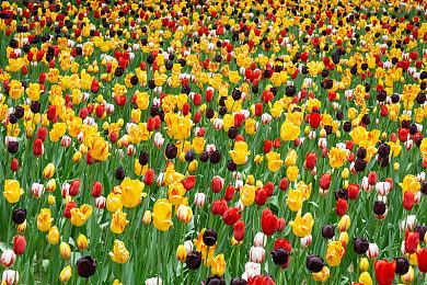 Respawn负责人认为EA《2042》已偏离战地IP太远